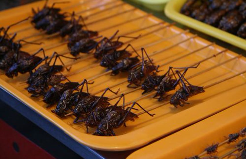 Chinese street food 3