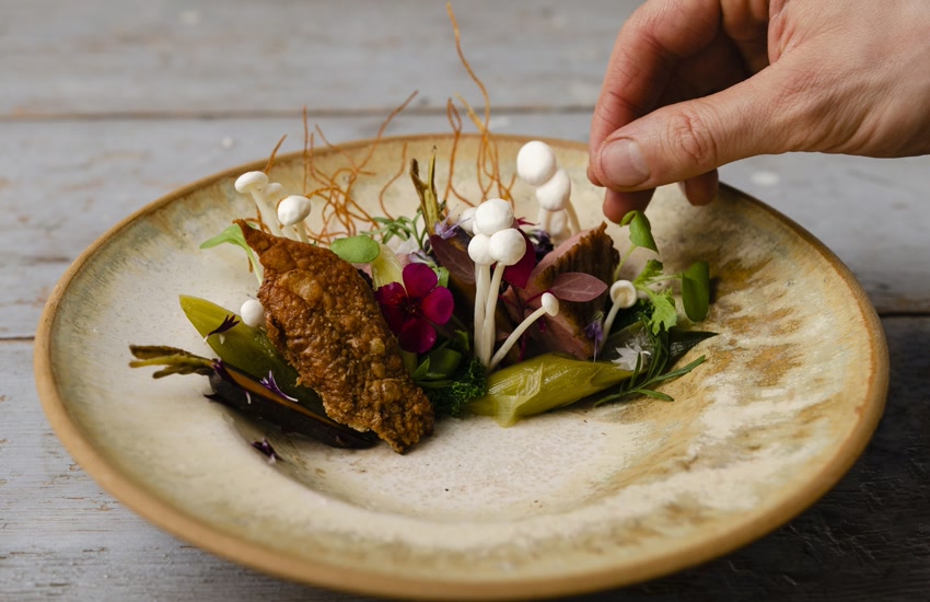 Sustainable gastronomy 2